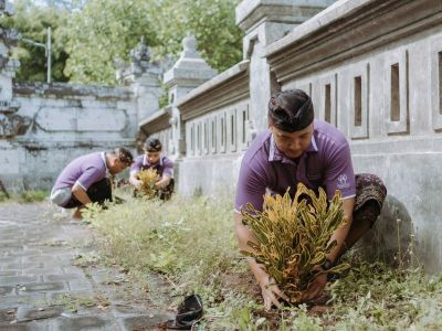 Tree Planting Activity in the Serene and Sacred Area of Sakenan Temple on Serangan Island 